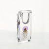 Aurelia - 11.4 inch (29cm) Modern Premium Jellyfish Clear Glass Vase Pink Color